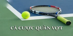 Giới thiệu về cá cược tennis trên VB77